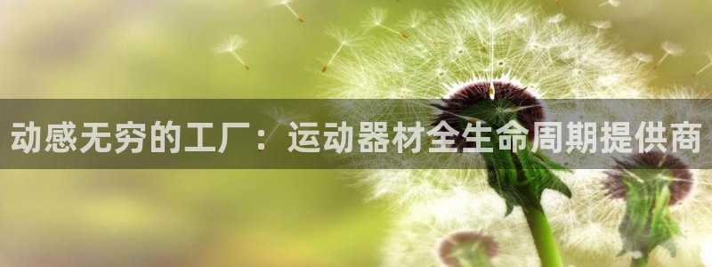 征途国际科技：动感无穷的工厂：运动器材全生命周期提供