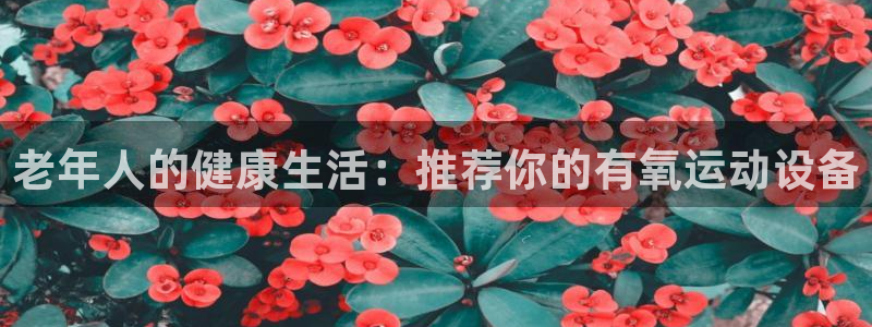 征途国际招商电话地址：老年人的健康生活：推荐你的有氧