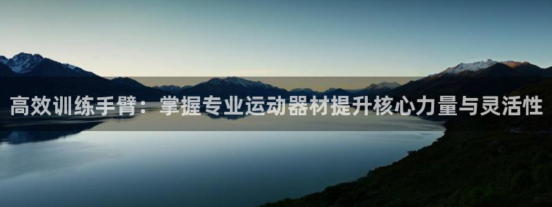 征途国际软件：高效训练手臂：掌握专业运动器材提升核心