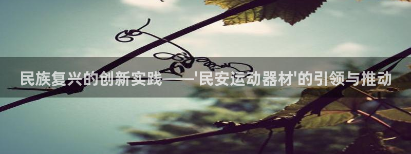 征途国际平台注册要钱吗：民族复兴的创新实践——\'民安运动器