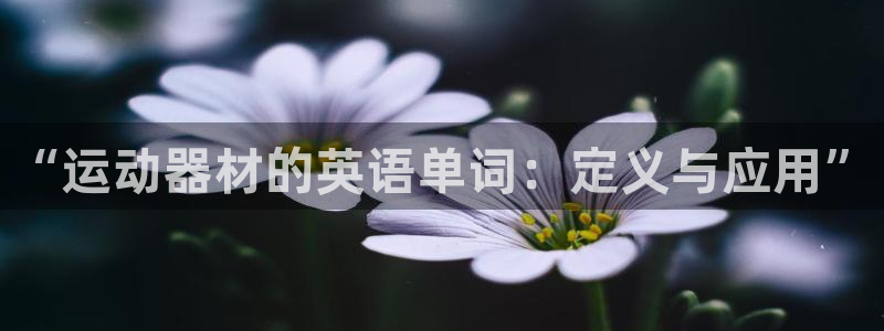 征途国际招商电话：“运动器材的英语单词：定义与应用”