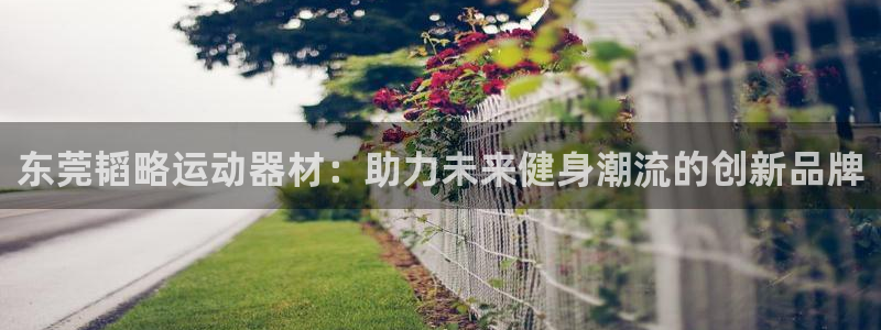 海南征途国际：东莞韬略运动器材：助力未来健身潮流的创