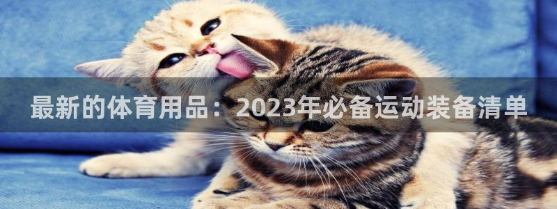征途国际招商电话号码查询：最新的体育用品：2023年