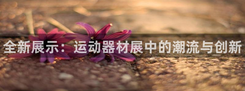 征途国际集团官网首页网址：全新展示：运动器材展中的潮