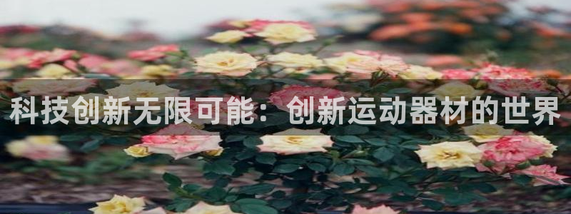 征途国际招商电话号码查询是多少：科技创新无限可能：创新运动器