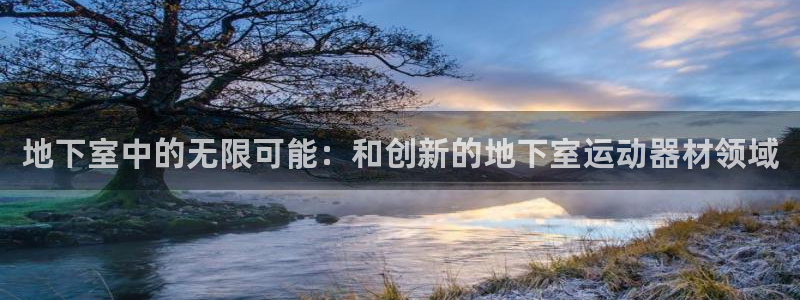 征途国际平台是正规平台吗知乎：地下室中的无限可能：和创新的地