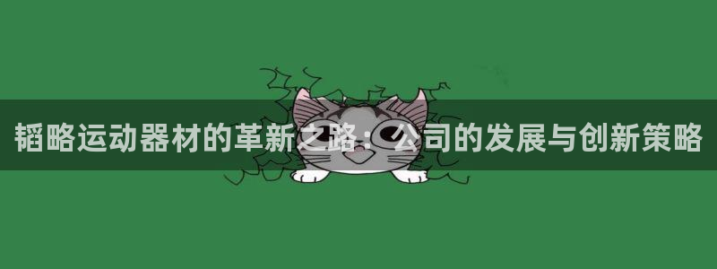 征途国际平台注册要钱吗安全吗：韬略运动器材的革新之路：公司的