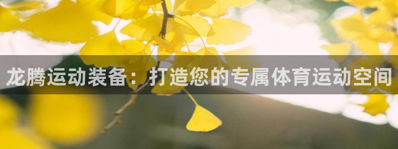 征途国际招商：龙腾运动装备：打造您的专属体育运动空间