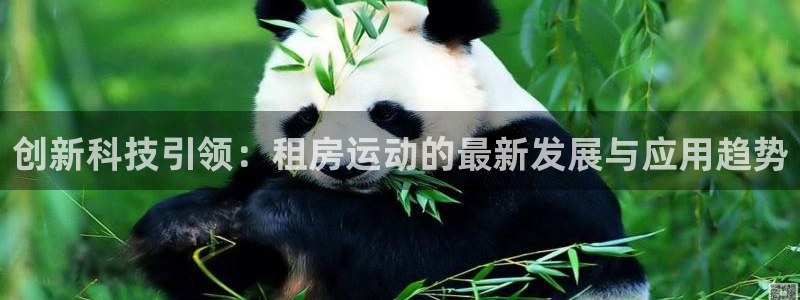 征途国际开户：创新科技引领：租房运动的最新发展与应用