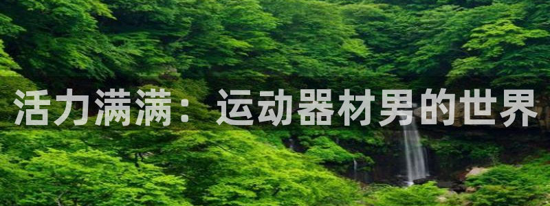 征途国际娱乐下载：活力满满：运动器材男的世界